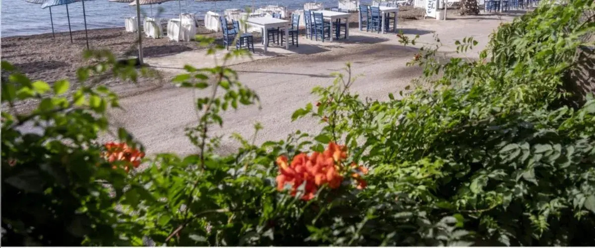 Ege Motel