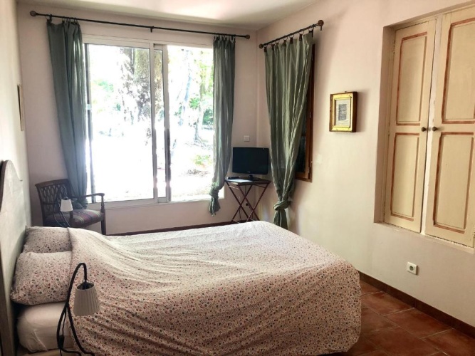 Standard Double room with garden view