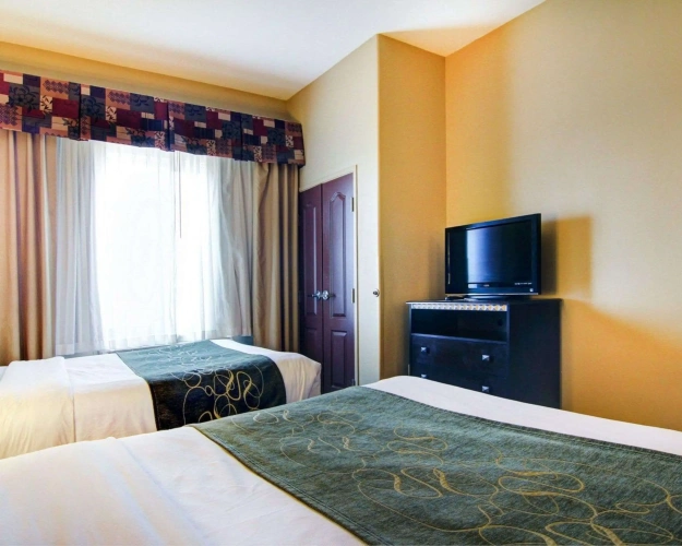 Quadruple Suite