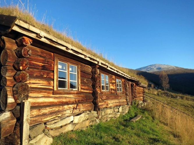 Cottage