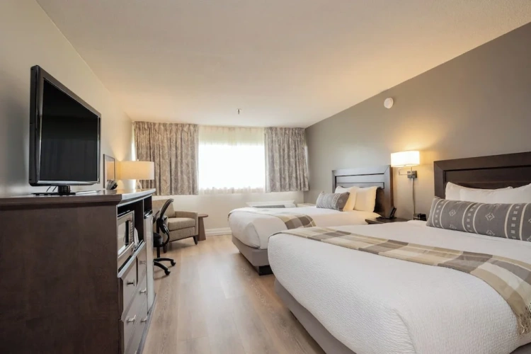 Premium Quadruple room