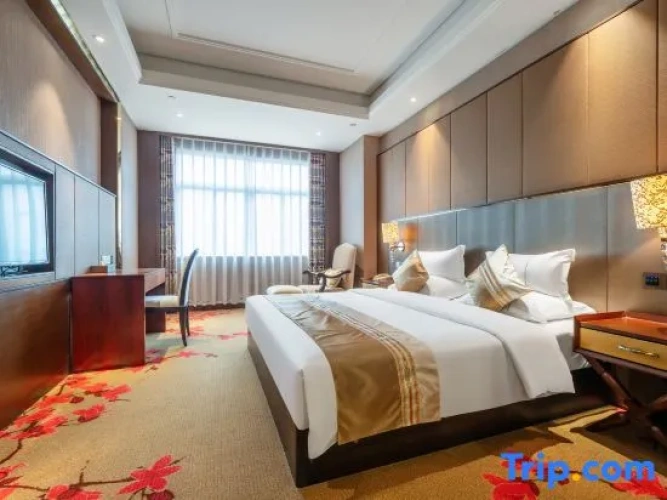 1 Bedroom Twin Family Suite