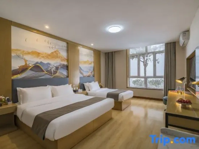 Standard Double Family room