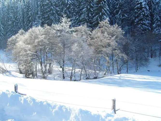 Birgits Landhaus