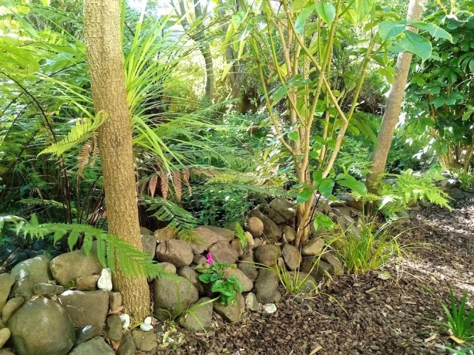 Double Basement Studio with garden view