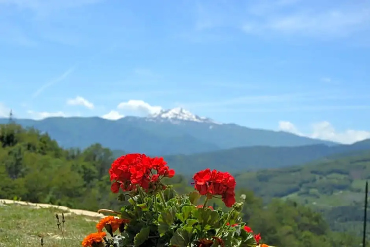B&B Cimone