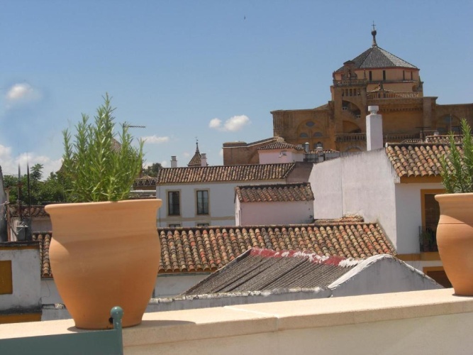 1 Bedroom Villa with balcony and with view