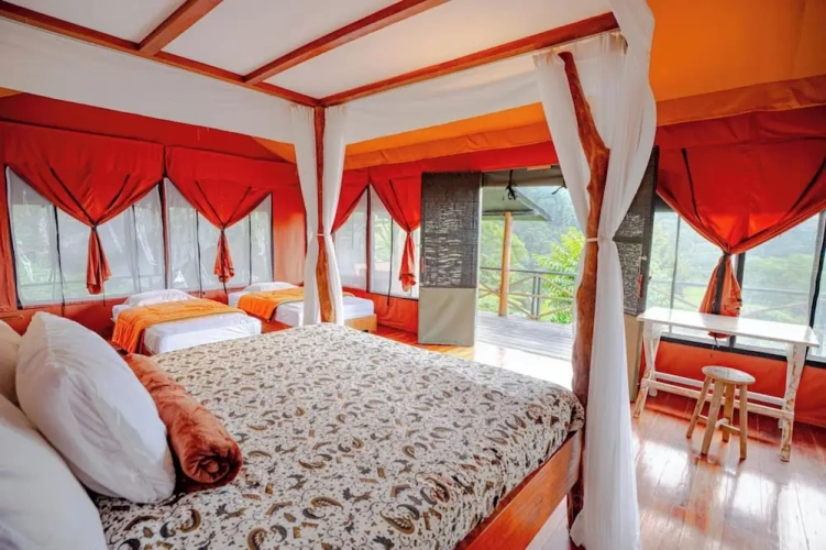 Guest rooms