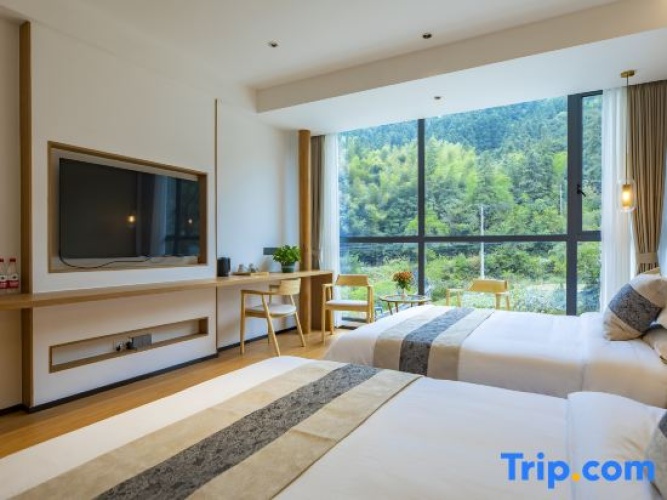 Standard Twin room with mountain view