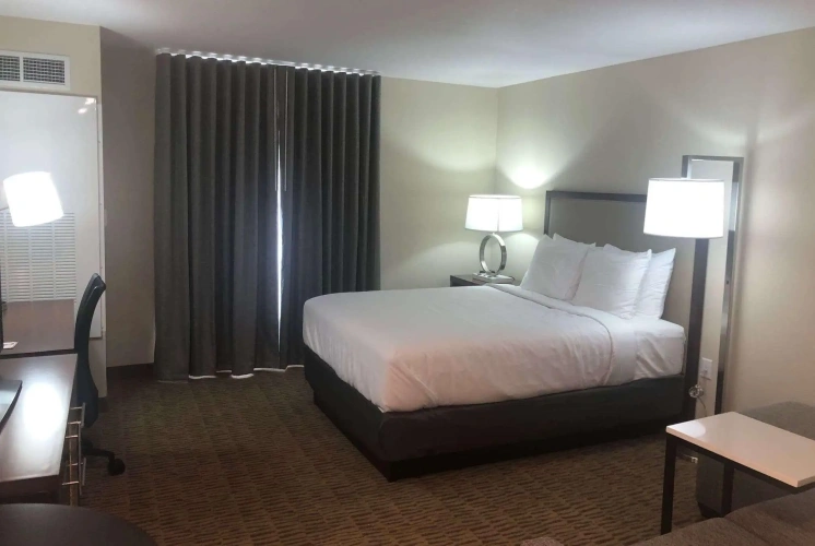 1 Bedroom Deluxe Double Suite