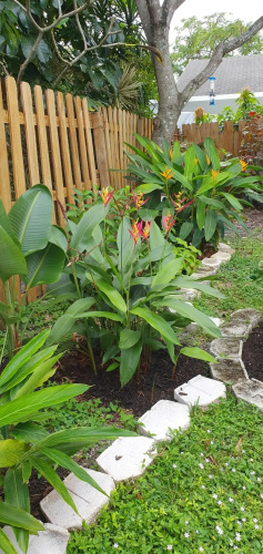 Tropical Hideaway!