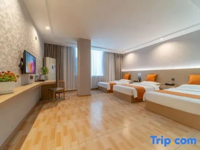 Premier Triple room with city view