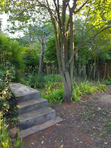 UppaTree Cottage