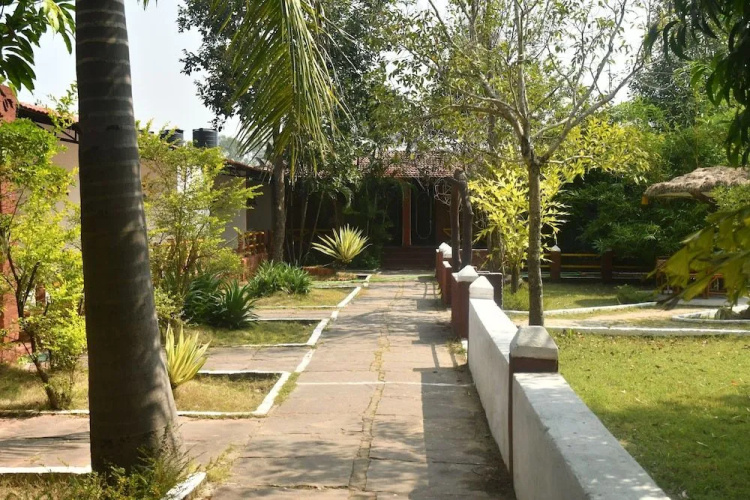 Taal Tiger Retreat