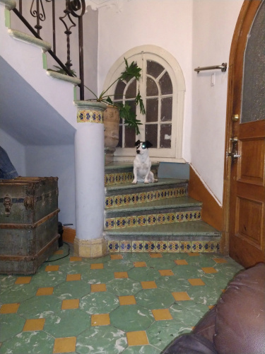 La Decima Guest House
