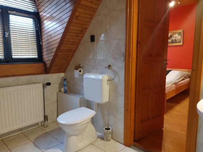 Standard Double room with lake view