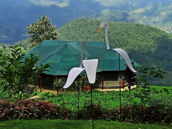 1 Bedroom Suite with mountain view