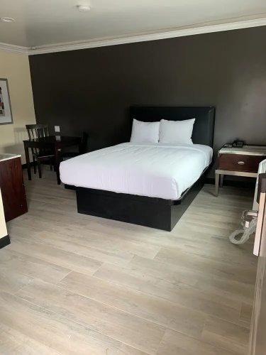 Willow Tree Inn  Suites