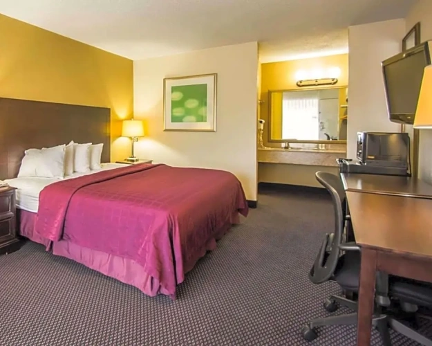 Standard Double room with pool view