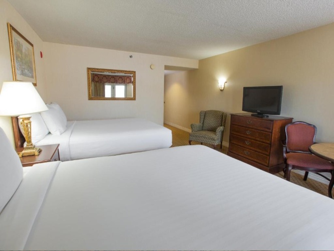 Deluxe Double room with park view