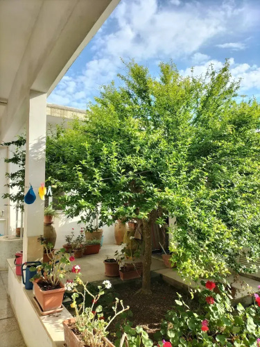 Guest House Salentojoy