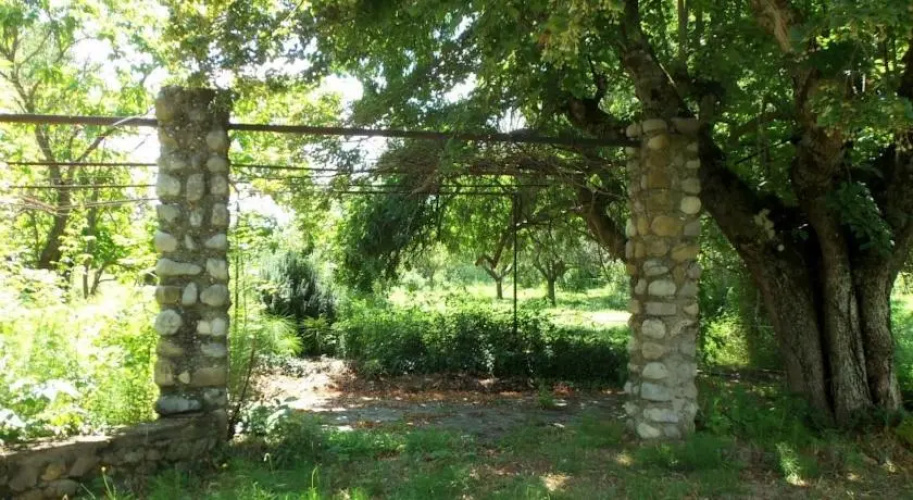 Kabane Provence
