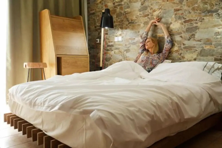 Hotel Menel - The Tree House
