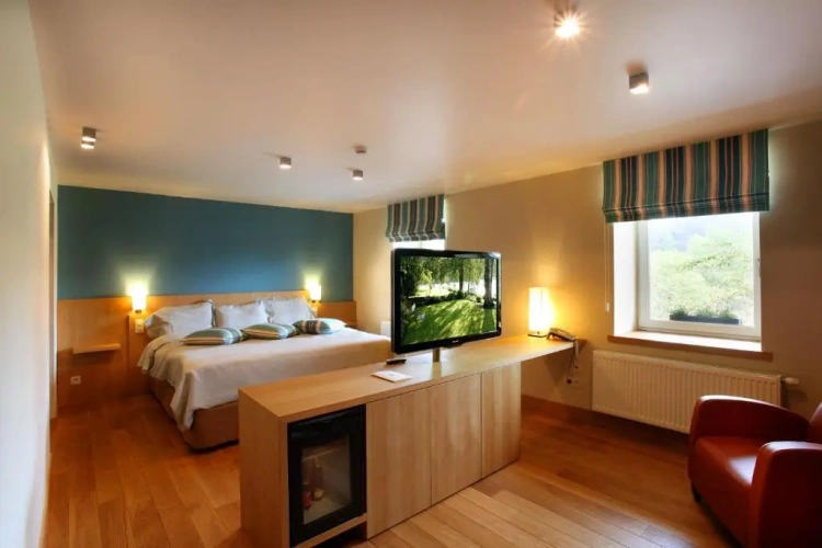 1 Bedroom Suite with view
