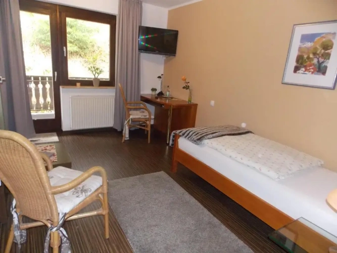 Standard Double room with balcony and with view