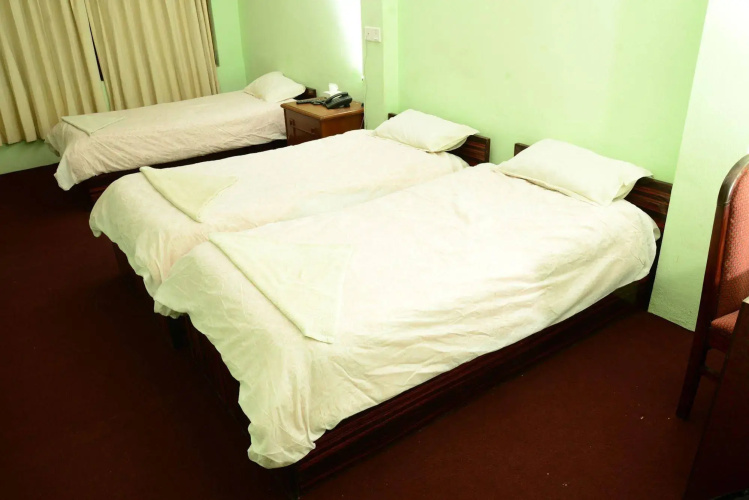Hotel Green Horizon