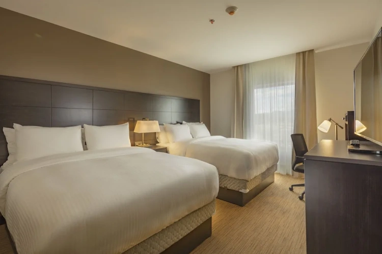 1 Bedroom Suite