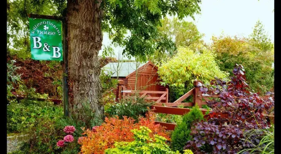 Killeentierna B&B