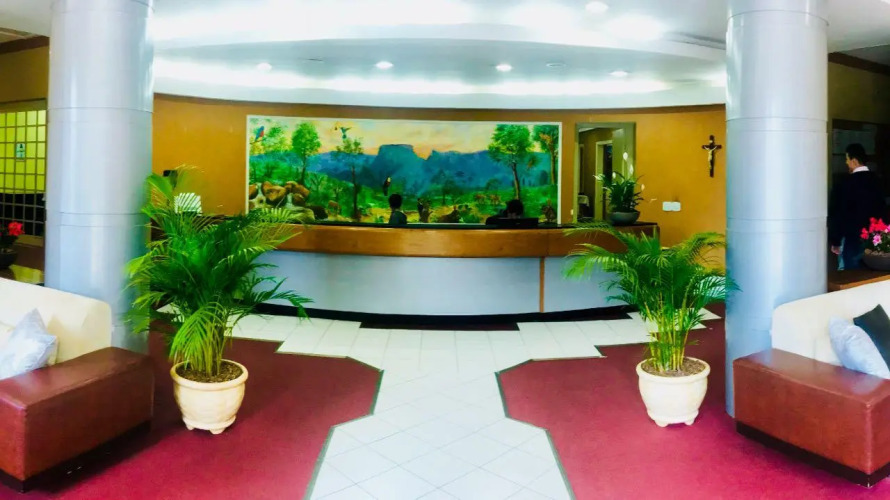 Hotel PlatanusOver view