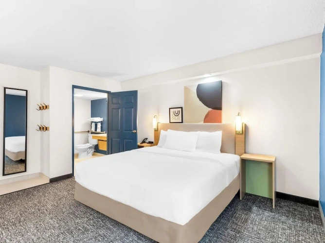 Premium Quadruple Studio