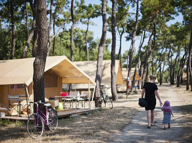 Tent