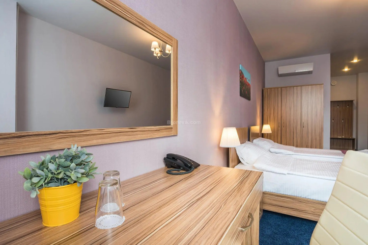 Фотография номера гостиницы Тесса