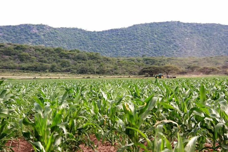 Ghaub Nature Reserve & Farm