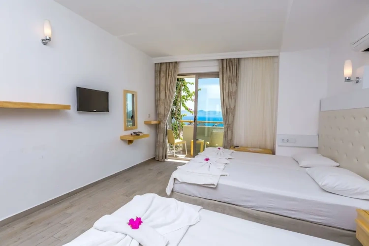 Standard Double room with balcony and with city view