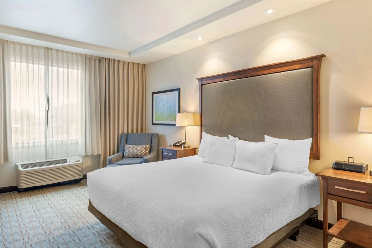 Double Suite with garden view