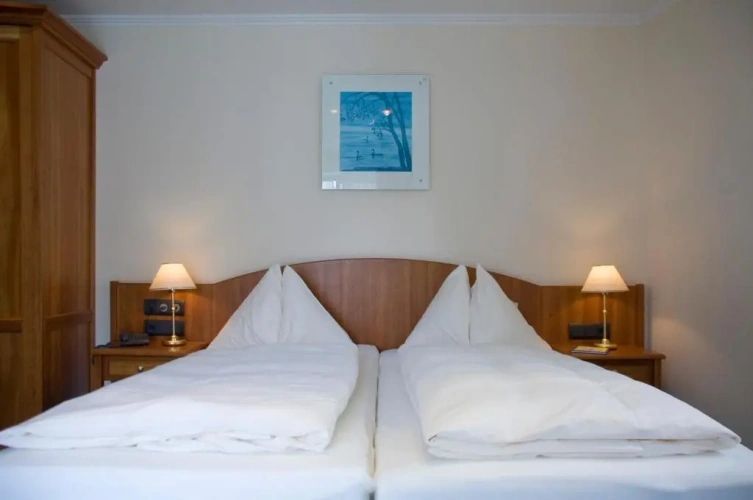 Standard Double room with lake view