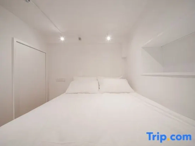 Double Apartment