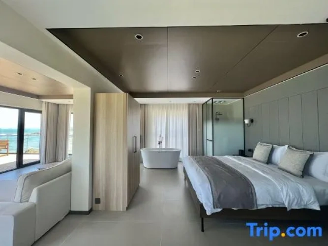 1 Bedroom Standard Double room with view