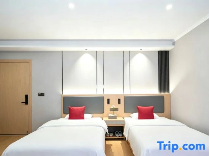 Standard Twin room with city view