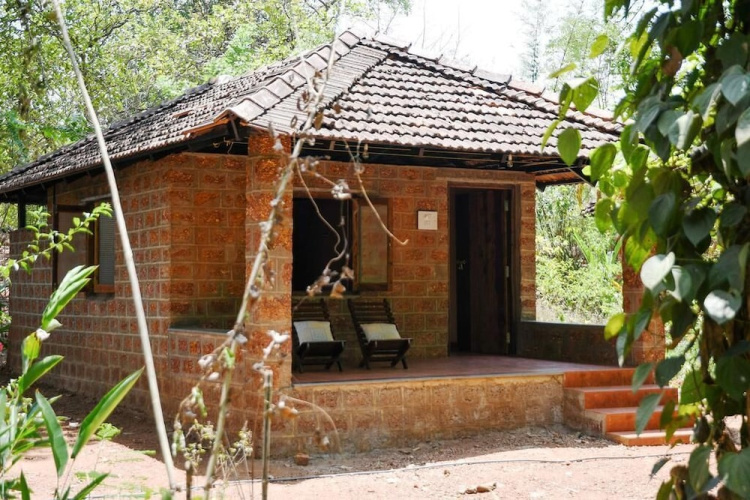 Dudhsagar Plantation - Goa
