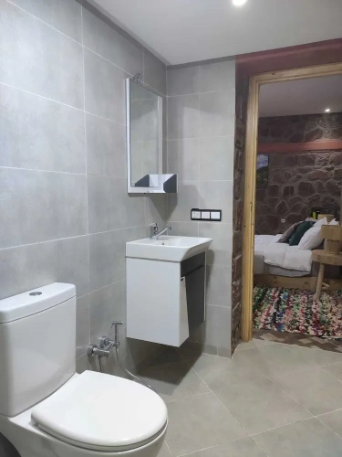 Standard Double room with balcony and with garden view