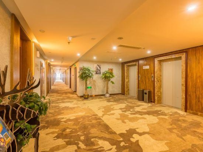 Hotel rooms