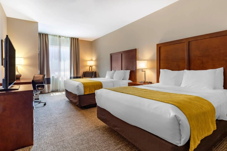 Quadruple Suite