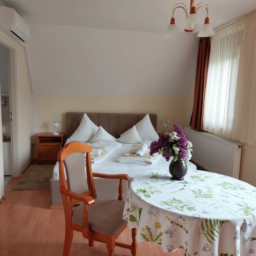 Double Studio with balcony and with garden view