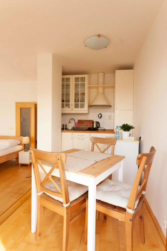 Vitkov Park Apartment