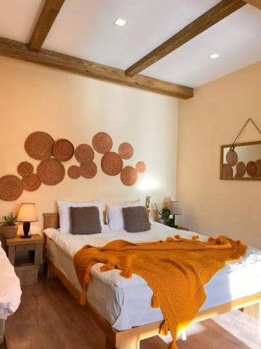 Standard Double room with mountain view